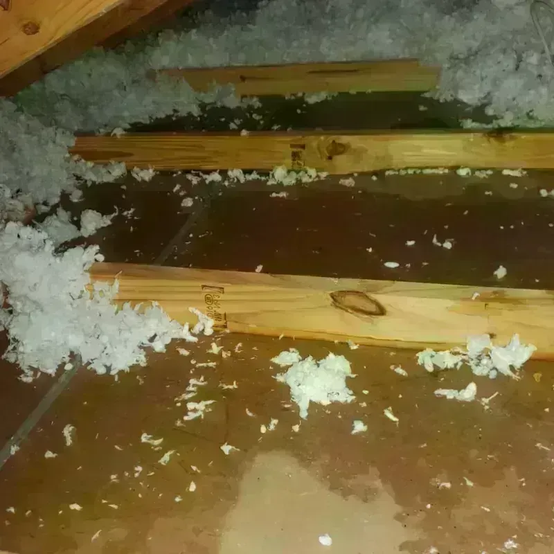 Attic Water Damage in Lemon Grove, CA